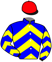 Casaque du n°12 — MONDAINE