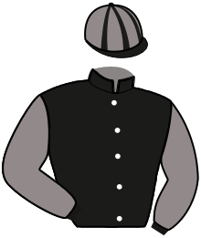 Casaque du n°11 — MENEUSE DE HOUELLE