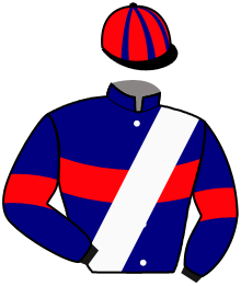 Casaque du n°15 — MIAMI