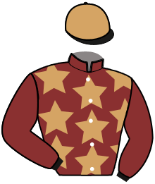 Casaque du n°2 — MEXICA BELLA