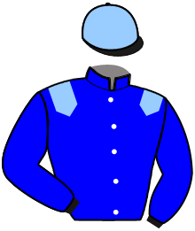 Casaque du n°4 — MAM'ZELLEPAZENAISE