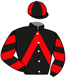 Casaque du n°2 — JOSY D'OCCAGNES