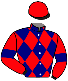 Casaque du n°4 — KAVALE DE BOLERO