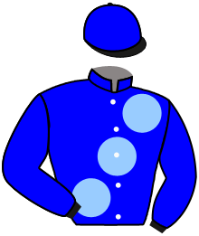Casaque du n°10 — HUTTON