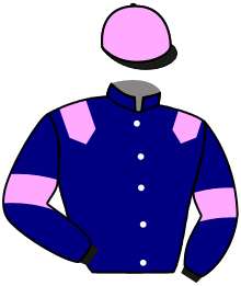 Casaque du n°11 — RIGEL
