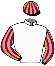Casaque du n°7 — FLAMBOYANTE