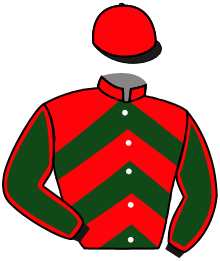 Casaque du n°11 — SANDON