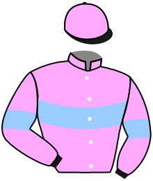 Casaque du n°13 — SUNBEAM