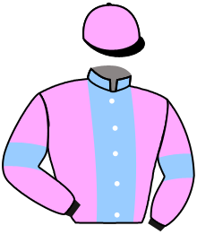 Casaque du n°15 — SPEEDY ANGEL
