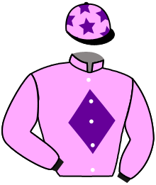 Casaque du n°2 — LE GARDOLOT