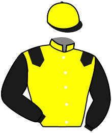 Casaque du n°1 — MARTIN