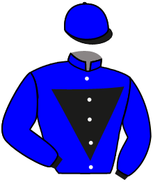 Casaque du n°1 — MILADY ST GEORGES