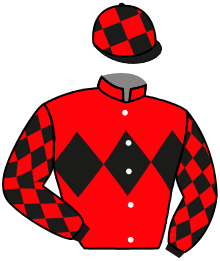 Casaque du n°6 — LADY DES BLINS