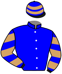 Casaque du n°1 — GRANDBAT