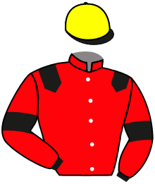 Casaque du n°3 — WHYMPER