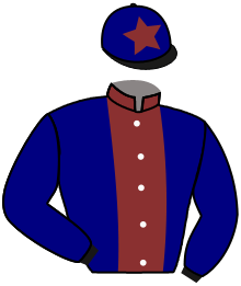 Casaque du n°4 — IRUN LORD