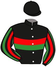 Casaque du n°11 — NOVELLO