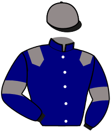 Casaque du n°1 — LORENZO DU SERAN