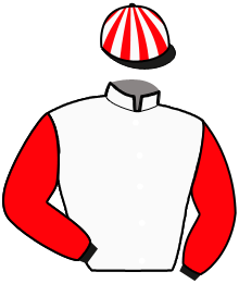 Casaque du n°4 — KECOU DE VILLABON