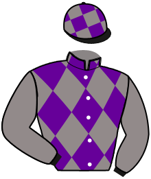 Casaque du n°11 — MERLIN FAMILY