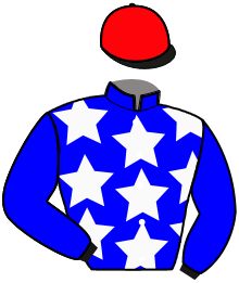 Casaque du n°4 — MIMO DU MESNIL