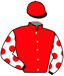 Casaque du n°5 — JOGGER DE BELLANDE