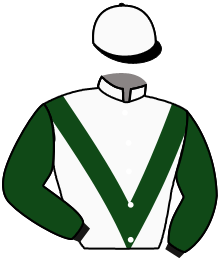 Casaque du n°2 — FRENCH COLORADO