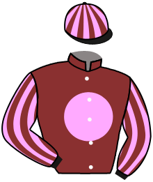 Casaque du n°10 — FIRST LADY STAR