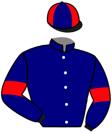 Casaque du n°5 — CHESTNUT ROCKET