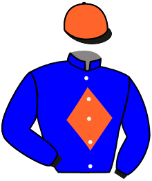 Casaque du n°11 — SON OF ZOR