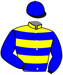 Casaque du n°2 — THE WHEEL