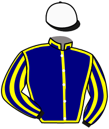 Casaque du n°3 — GOLDEN BEACH