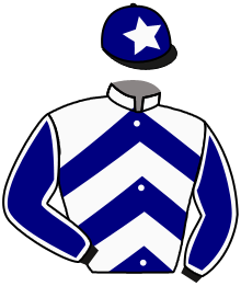 Casaque du n°5 — AGOUREIL