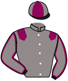 Casaque du n°6 — LADY MADEIRA