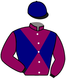 Casaque du n°11 — HARRY GOLD