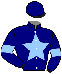 Casaque du n°4 — STAR CREEK