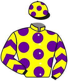 Casaque du n°7 — ARCUBIATU