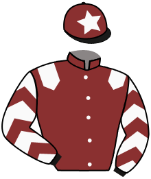Casaque du n°9 — MASINDHAL