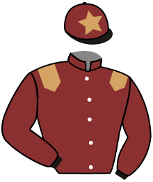 Casaque du n°14 — MAHJOUBA