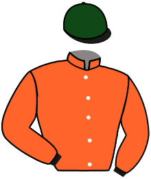 Casaque du n°13 — ANGEL WARRIOR