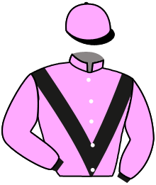 Casaque du n°14 — TREATWOOD