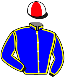Casaque du n°3 — GALAGOS