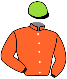 Casaque du n°14 — ZARABABY