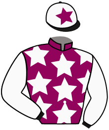 Casaque du n°15 — KRISTAL