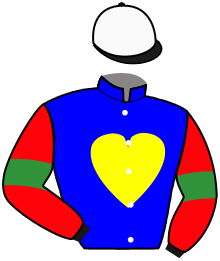 Casaque du n°12 — TEXAS DU CALVAIRE