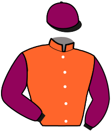 Casaque du n°2 — TRAUSTI
