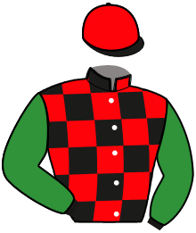 Casaque du n°7 — SANTIAGO MLF