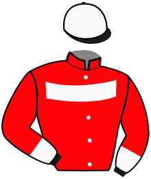 Casaque du n°1 — GIADA GRIF