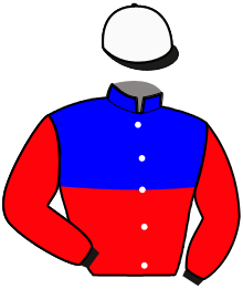 Casaque du n°13 — PAPILLON DE NUIT