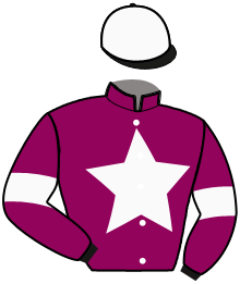 Casaque du n°16 — TIGAMOM D'HOETSEL